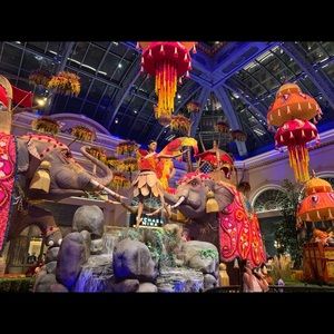 Meet your Posher, Deanne